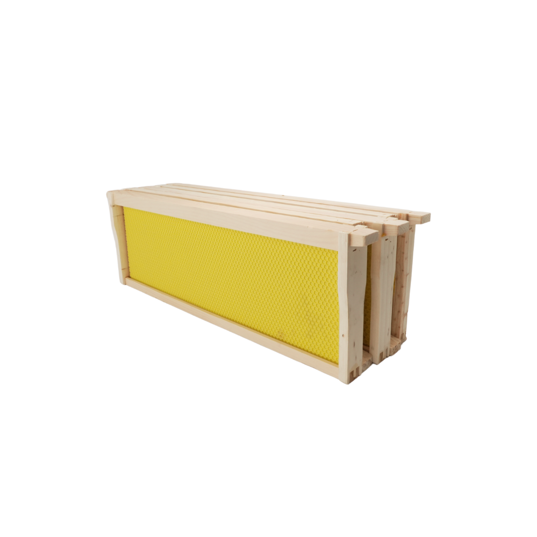 Assembled medium hive frame ready for beekeeping