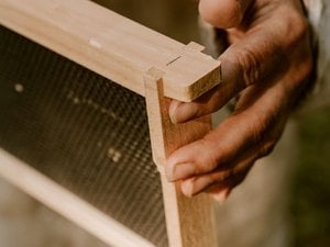 6-1/4 Medium Assembled Beekeeping Frame with Puracell™ Foundation - Double Wax image 8
