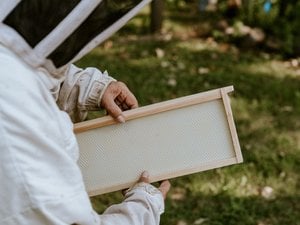 6-1/4 Medium Assembled Beekeeping Frame with Puracell™ Foundation - Double Wax image 6